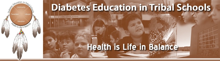 Diabetes Education in Tribal Schools logo