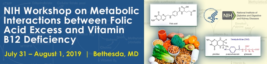 Workshop on Metabolic Interactions between Folic Acid Excess and Vitamin B12 Deficiency web banner
