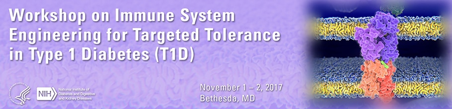 Banner for the 2017 Workshop on Immune System Engineering for Targeted Tolerance in Type 1 Diabetes (T1D)