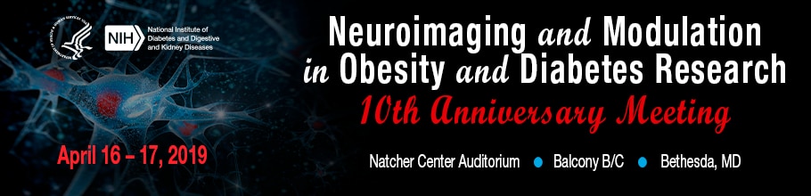 Neuroimaging and Modulation in Obesity and Diabetes Research 10th Anniversary Meeting web banner