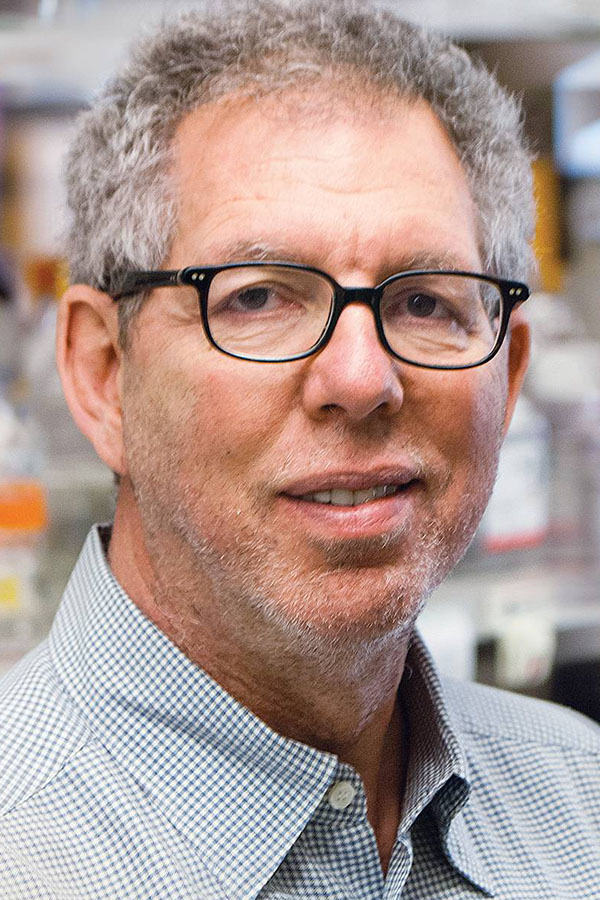 Image of Dr. Friedman