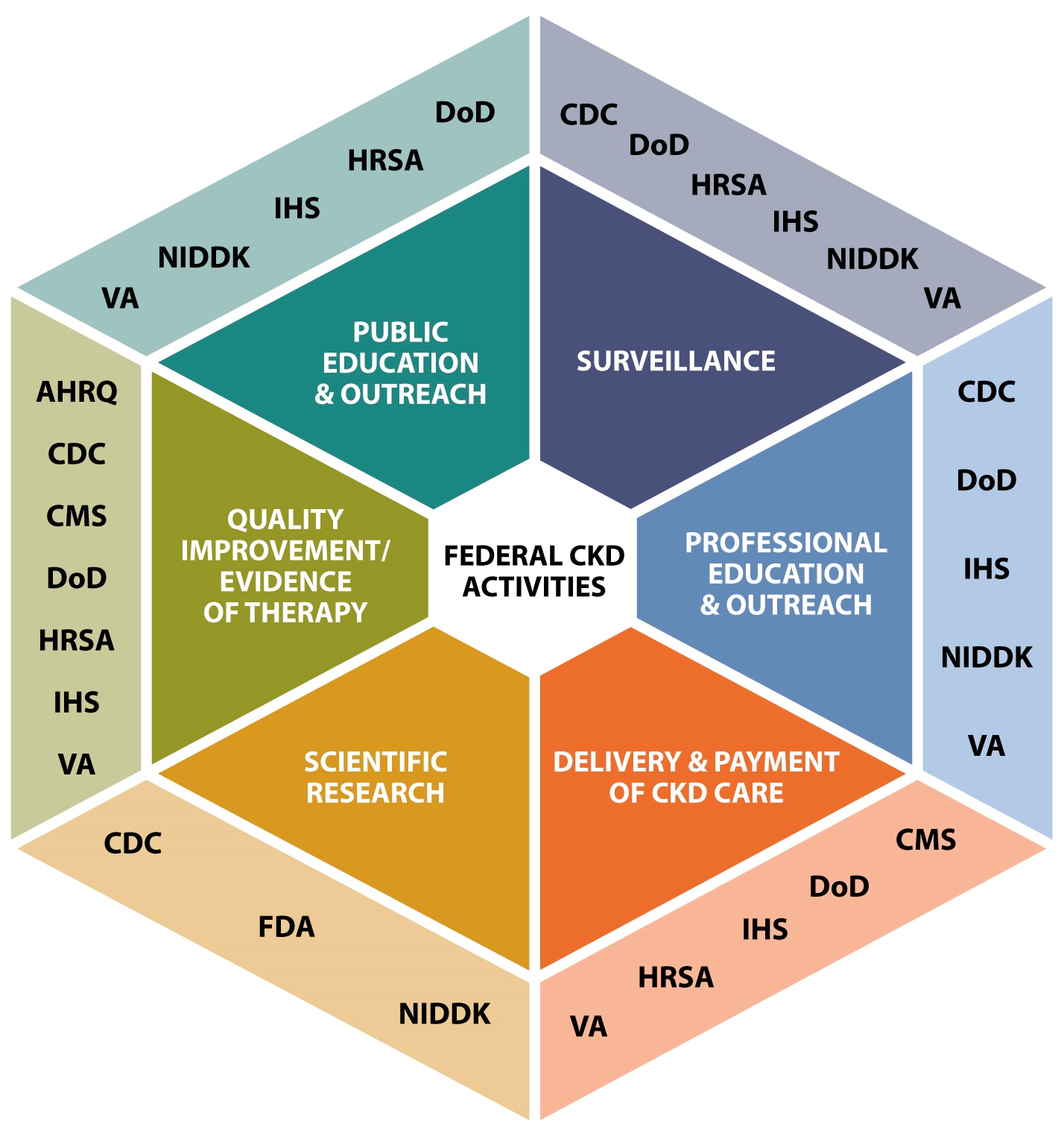 Federal CKD activities include public education and outreach (conducted by DoD, HRSA, IHS, NIDDK and VA), surveillance (conducted by CDC, DoD, HRSA, IHS, NIDDK and VA), professional education and outreach (conducted by CDC, DoD, IHS, NIDDK and VA), delivery and payment of care (conducted by CMS, DoD, HRSA, IHS and VA), scientific research (conducted by CDC, FDA, and NIDDK) and quality improvement/evidence of therapy (conducted by AHRQ, CDC, CMS, DoD, HRSA, IHS and VA).