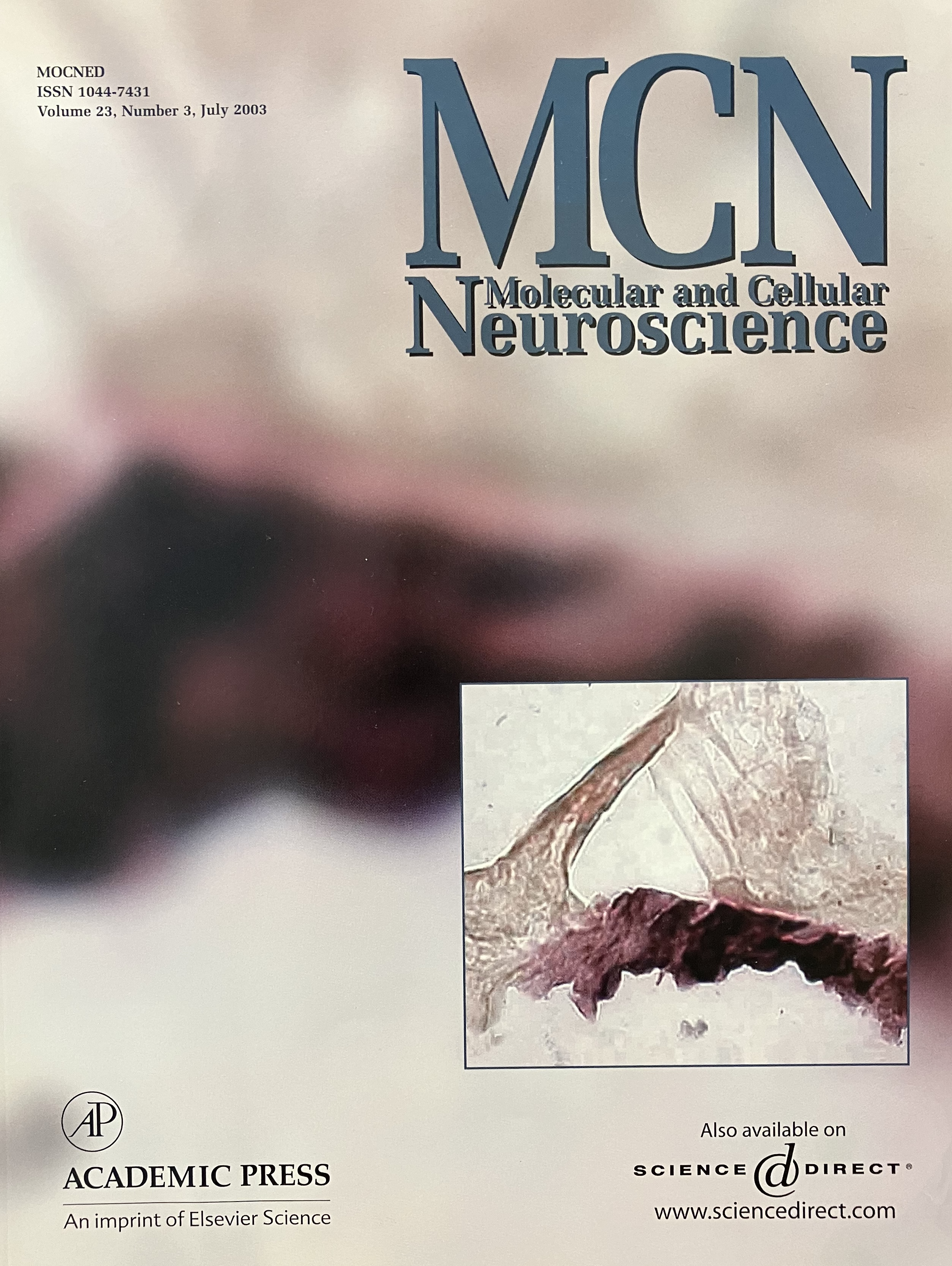 Cover of Molecular and Cellular Neuroscience Volume 23, Number 3, July 2003