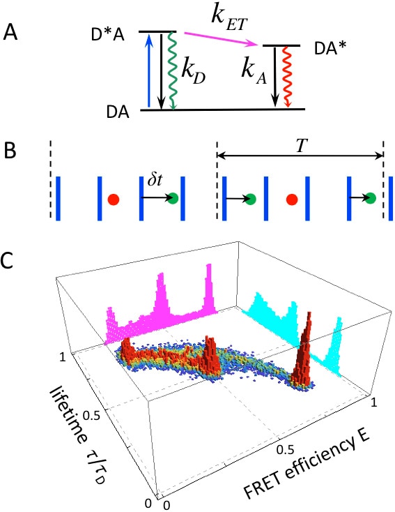 Single-molecule spectroscopy