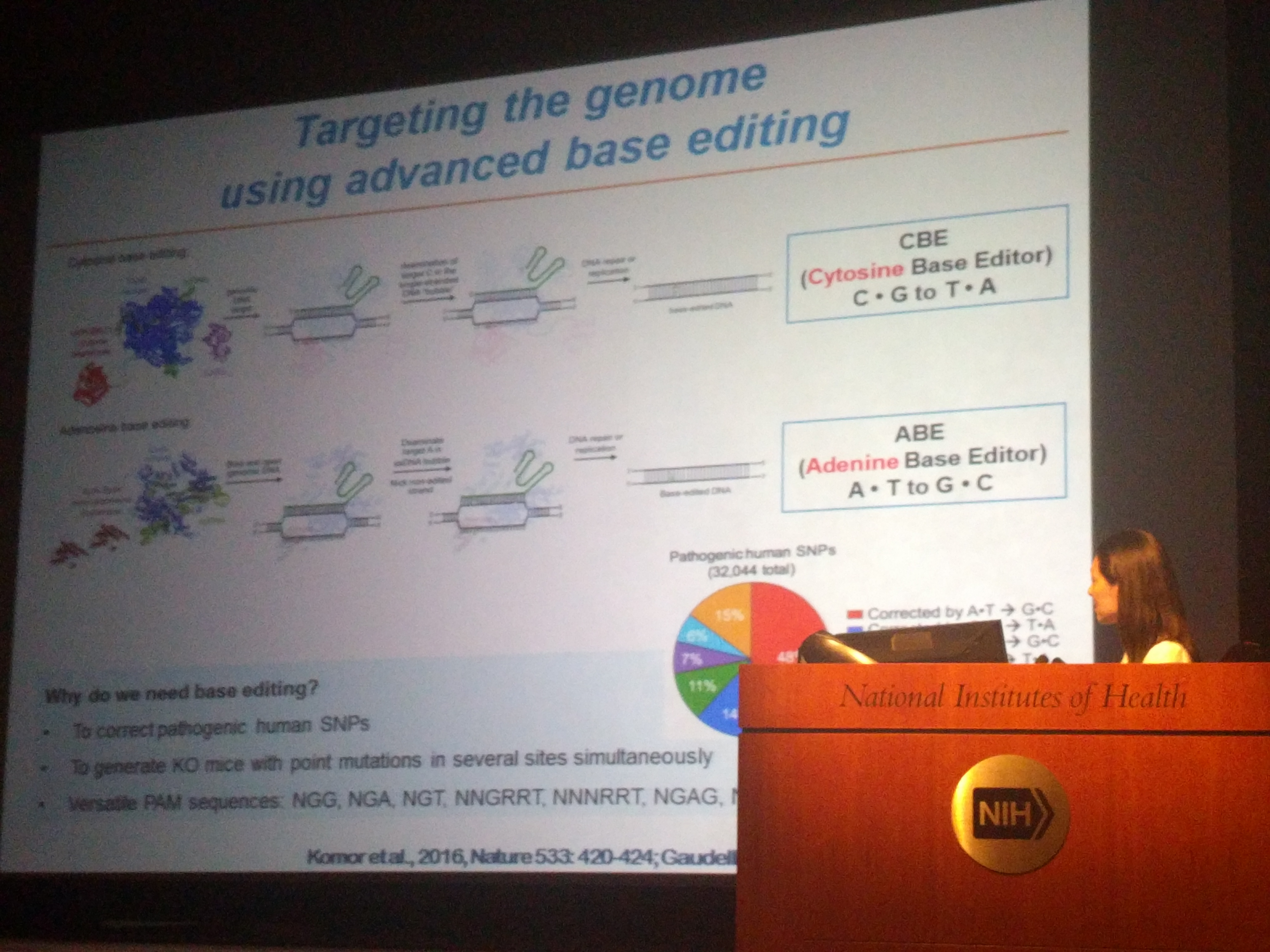 Dr. Hye Kyung Lee stands at a podium in front of a large screen that displays a slide from her presentation.
