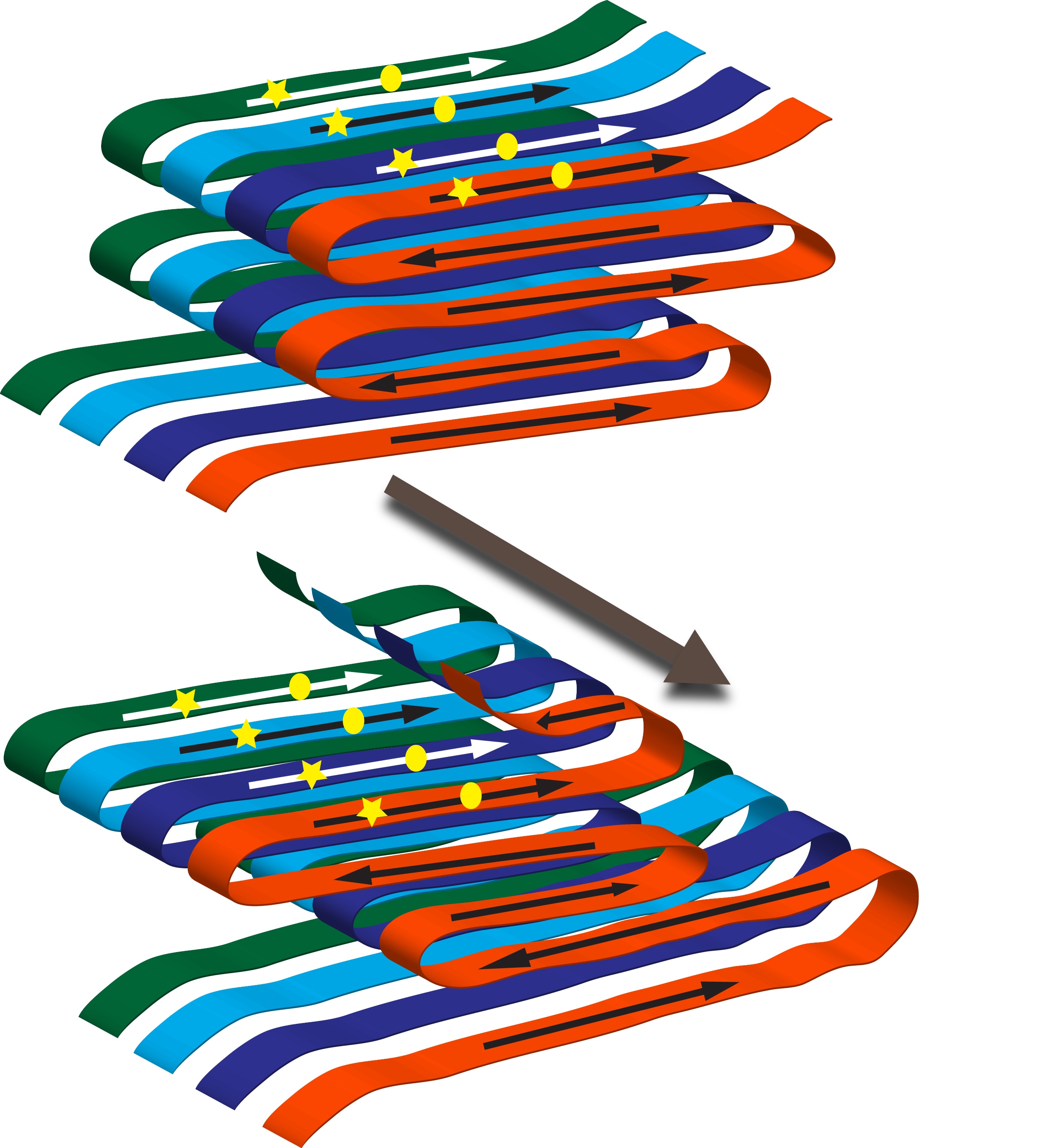 Model of two amyloid variants