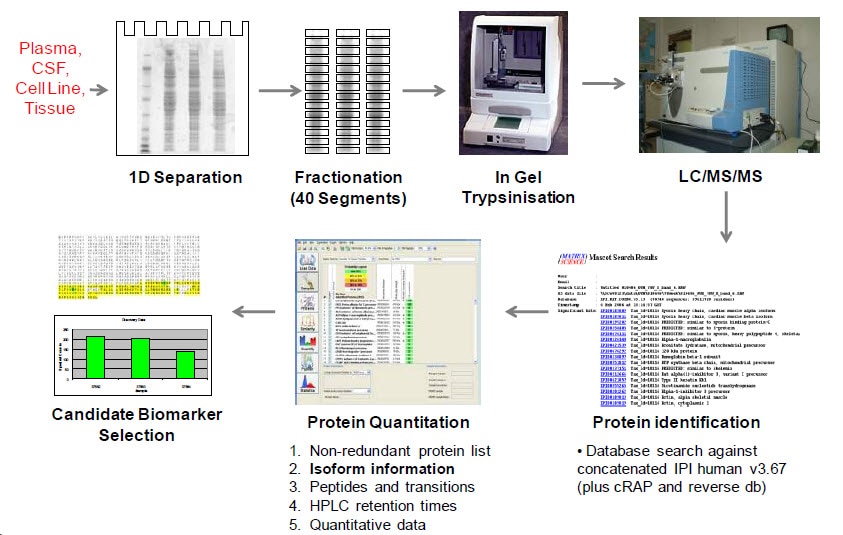 GeLC-MS