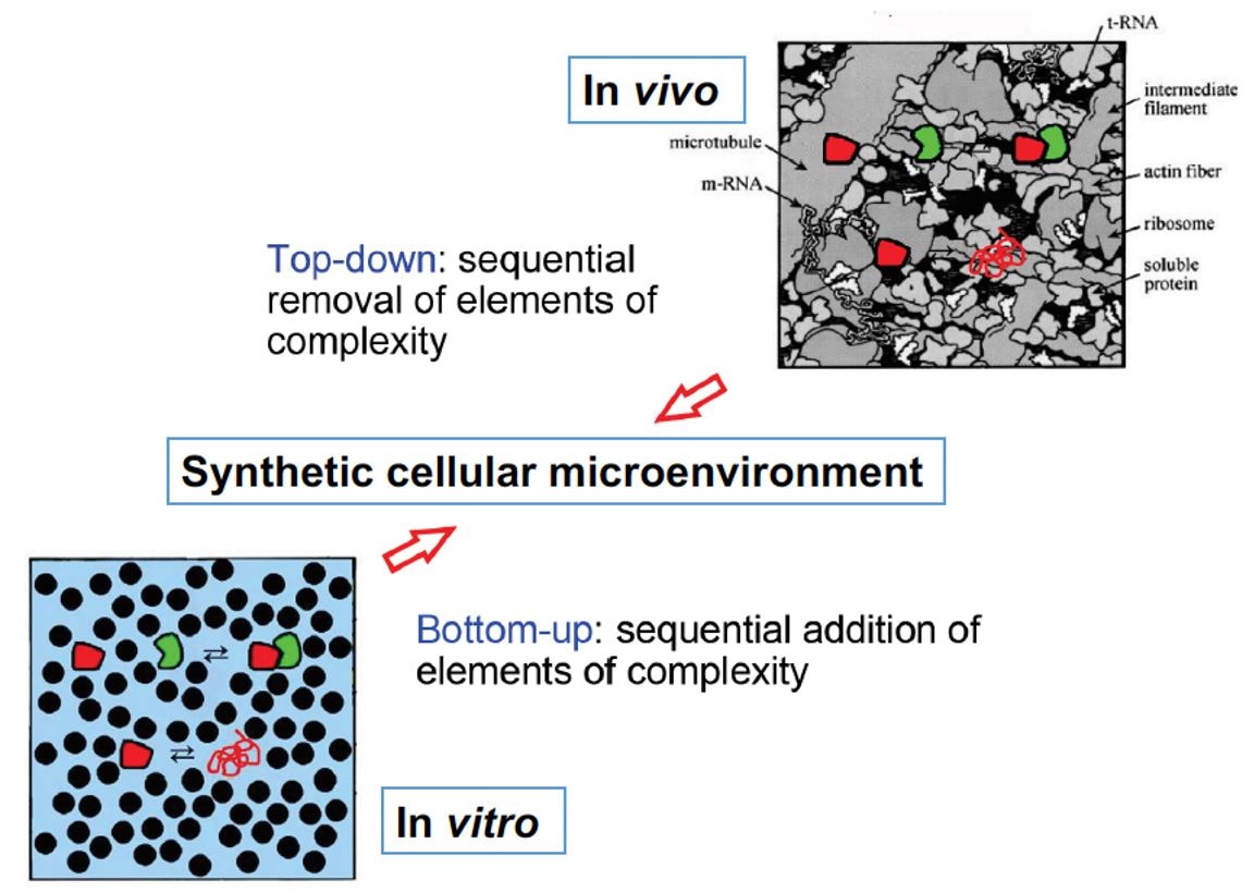 Cartoon depictions of synthetic and naturally complex media