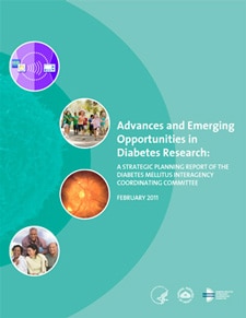 Advances and Emerging Opportunities in Diabetes Research cover
