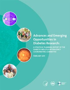 Advances and Emerging Opportunities in Diabetes Research cover