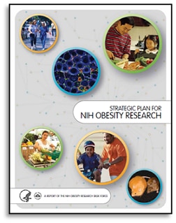 Strategic Plan for NIH Obesity Research cover