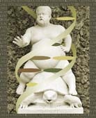 Body Fat Disorders