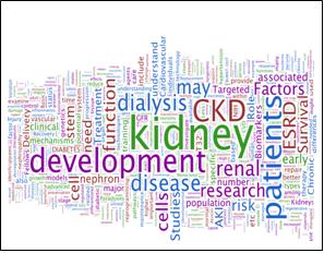 Word Cloud of Kidney Research National Dialogue