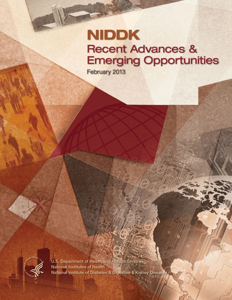 Thumbnail cover image of NIDDK Recent Advances and Emerging Opportunities February 2013 edition