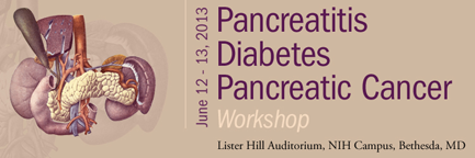 June 2013 Pancreatic workshop banner