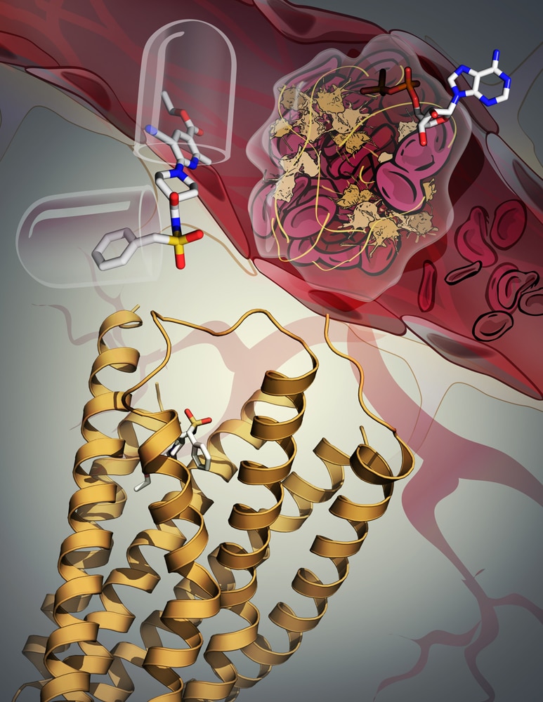 The structure of the P2Y12 receptor