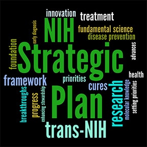 Image of NIH Strategic Plan cover