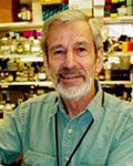 Photo of Dr. Martin Gellert