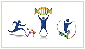 Molecular Transducers of Physical Activity in Humans logo