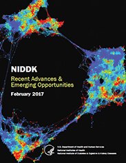 Cover of NIDDK's Recent Advances and Emerging Opportunities Annual Report - February 2017