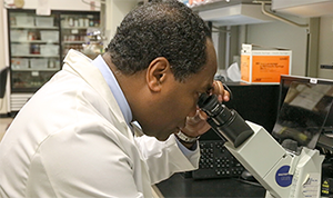 Photo of Dr. Griffin P. Rodgers looking through a microscope