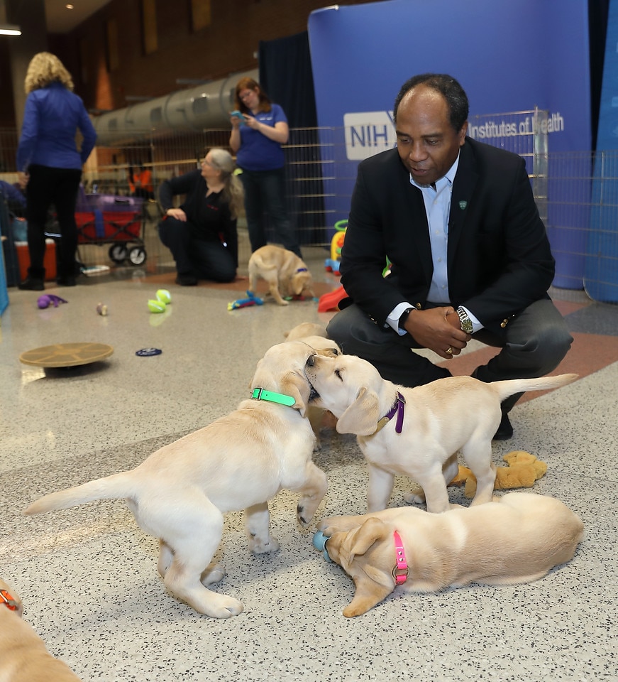 Dr. Rodgers with puppies
