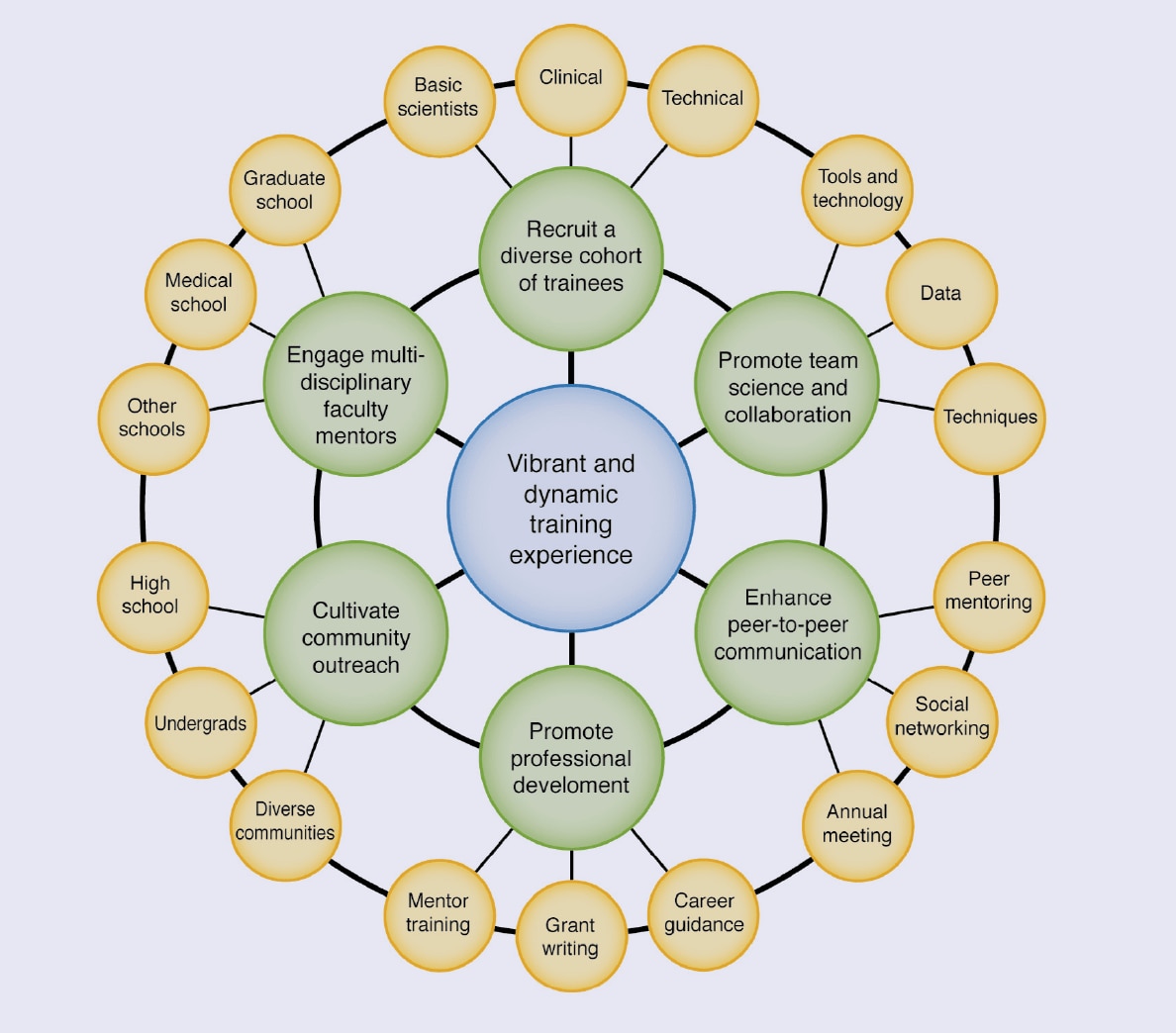 Graphic framework of training experience.
