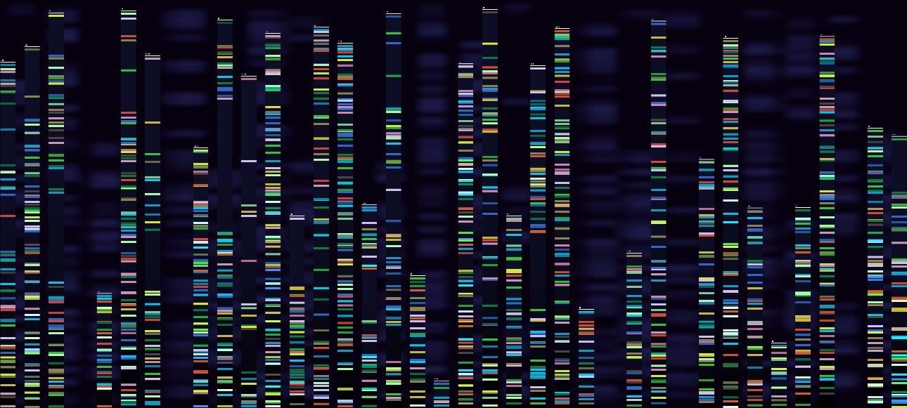 Graphical abstract of genomic sequencing