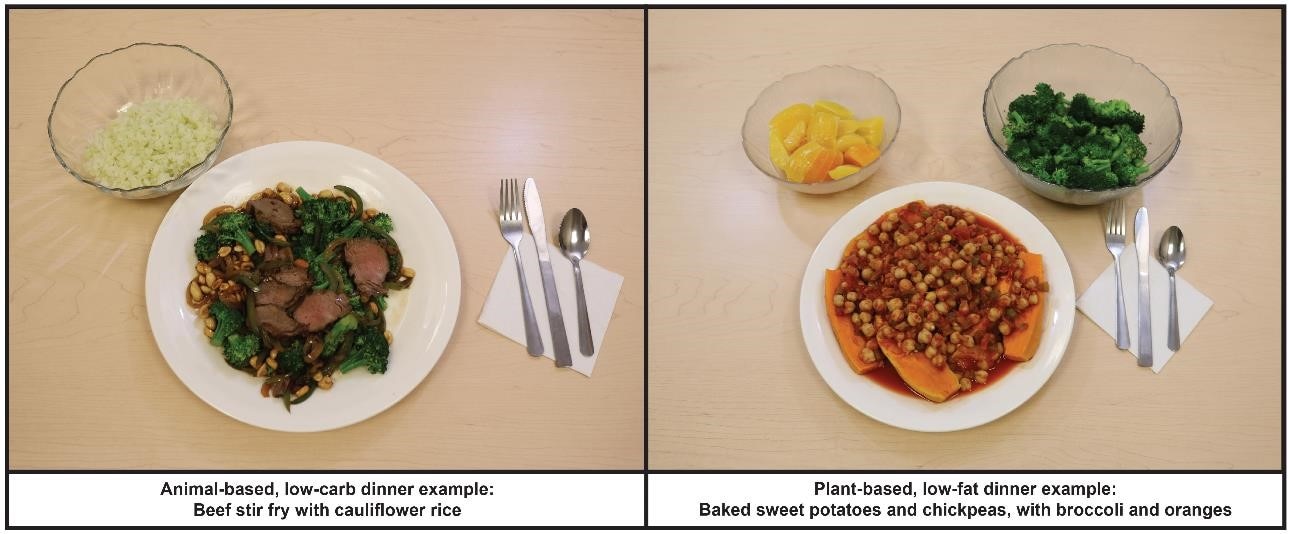 Examples of dinners from each diet