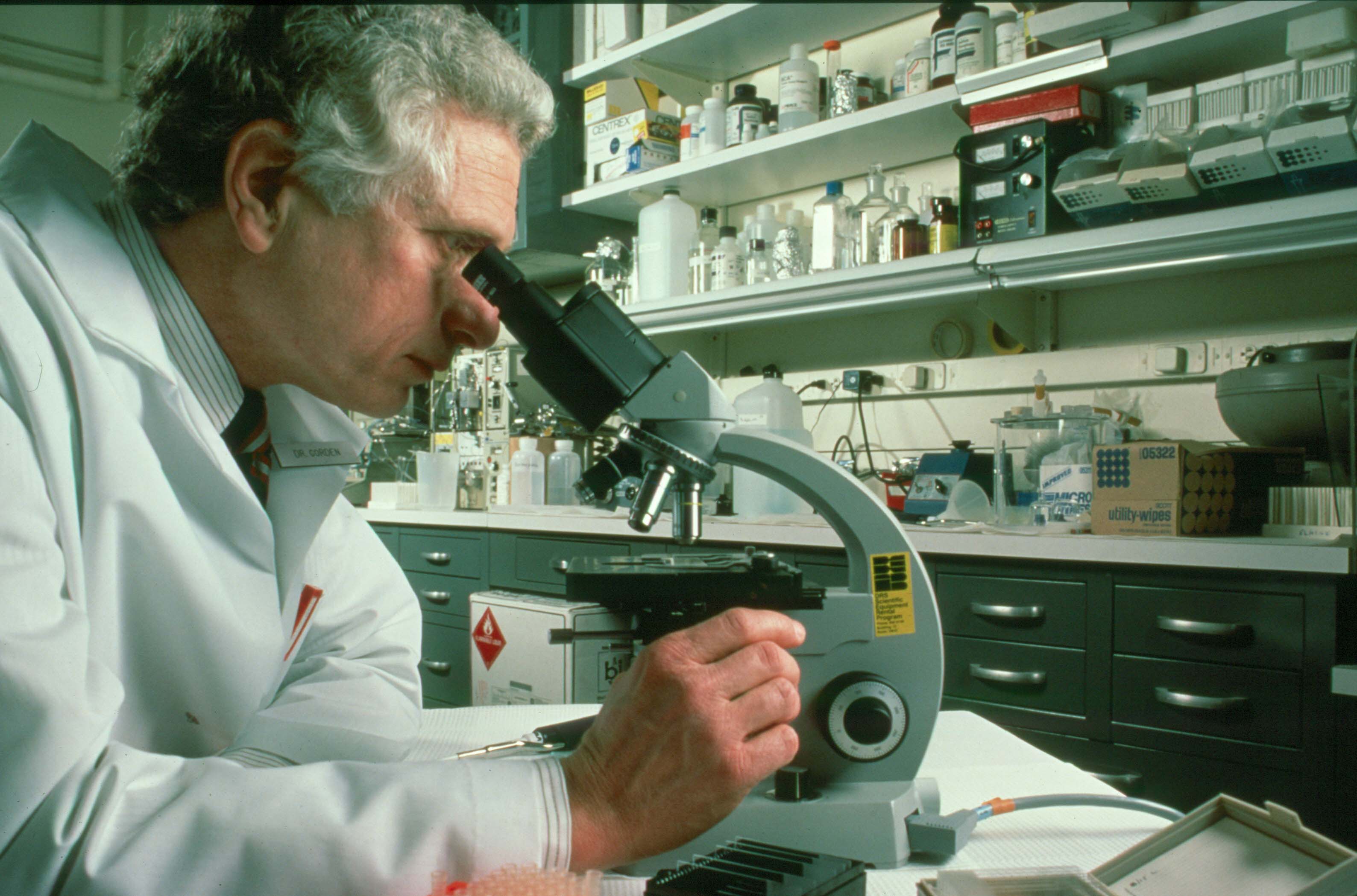 Scientist looks through microscope