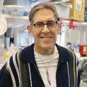 Square photo of Dr. Andy Golden