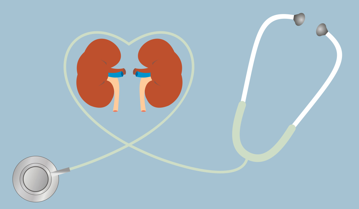 How Obesity and Type 2 Diabetes Affect Heart and Kidney Health – Blog