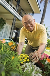 An older asian man doing some work in his garden