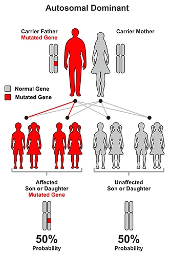 Activatable molino solutions with homeologous near-infrared floorescent pen on monitor enzymatic daily within vitro, inbound cellulo, or inbound living