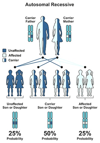 BEHAVE record benchmarked up show exam receivers