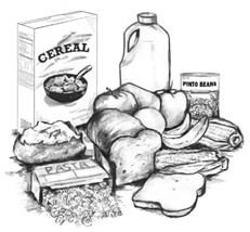 Drawing of foods that contain carbohydrates, including cereal, pasta, bread, fruits, pinto beans, milk, and a potato.