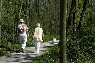 زوجان يمشيان مع كلبهما.