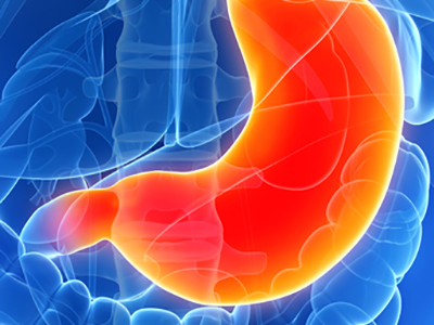 Digestive disease organ diagram