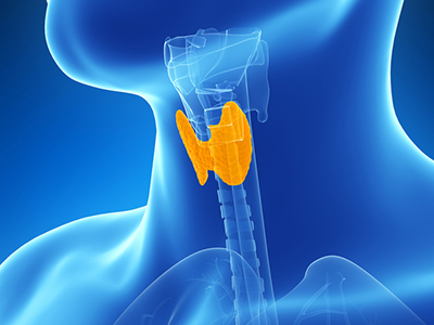 Diagrama de enfermedad endocrina en el organismo