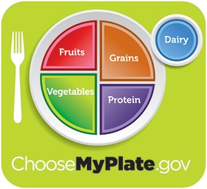 Image of the plate method showing proper portions of fruits, vegetables, grains, protein, and dairy.
