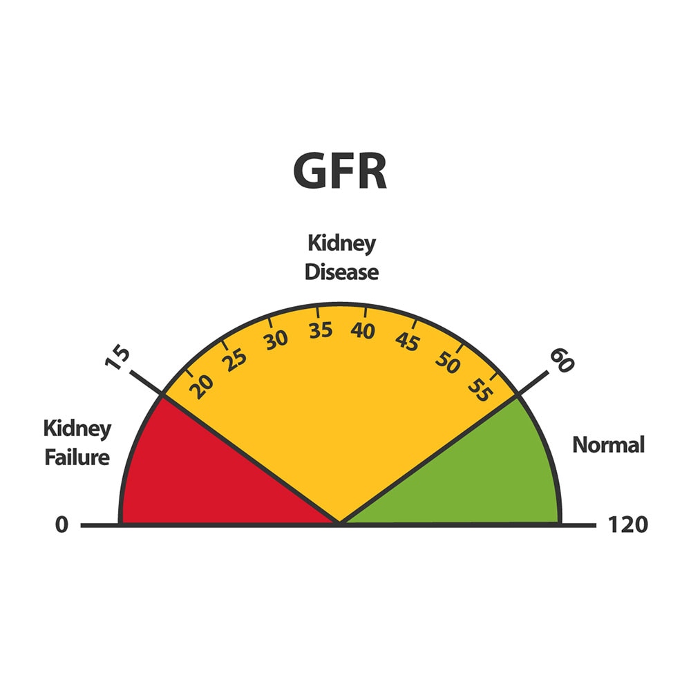 GFR test result dial