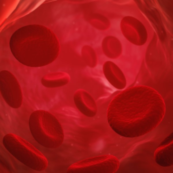 Anemia in Chronic Kidney Disease NIDDK