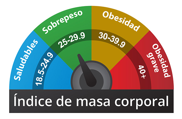 La gráfica muestra los índices de masa corporal de 18.5–24.9 como normal, de 25–29.9 como sobrepeso, de 30–39.9 como que presentan obesidad y de 40 o más como que presentan obesidad grave.