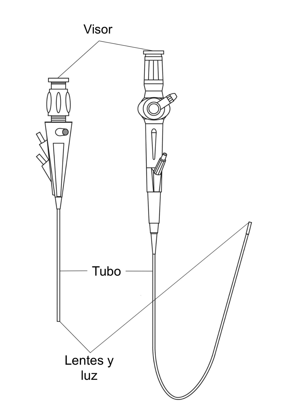 Dibujo de un cistoscopio rígido y un ureteroscopio flexible con visores, tubos, y lentes y luces etiquetados.