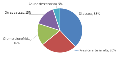Un gráfico circular que muestra las causas de la insuficiencia renal en los Estados Unidos, con diabetes en un 38%, hipertensión arterial en un 26%, glomerulonefritis en un 16%, otras causas en un 15% y causas desconocidas en un 5%.