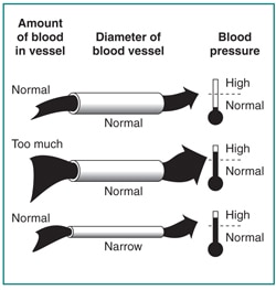 Diet Chart For Diabetic And Kidney Patient