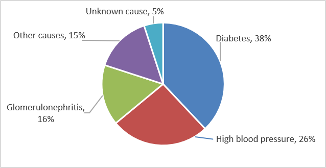 Kidney Failure Chart