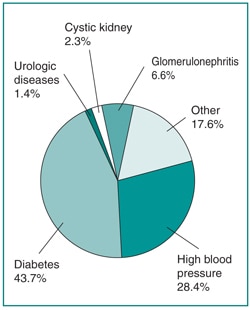 A pie chart listing the causes of kidney failure in the United States.