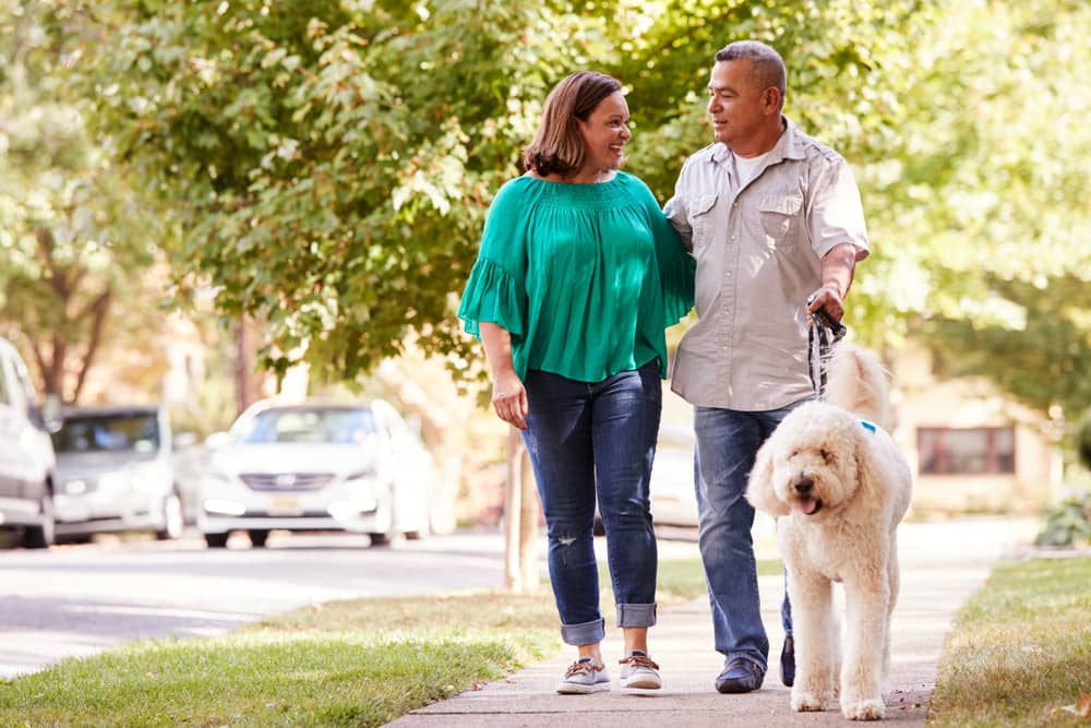 A woman and a man walking a dog.