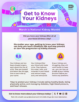 National Kidney Month 2024 Flyer thumbnail - English